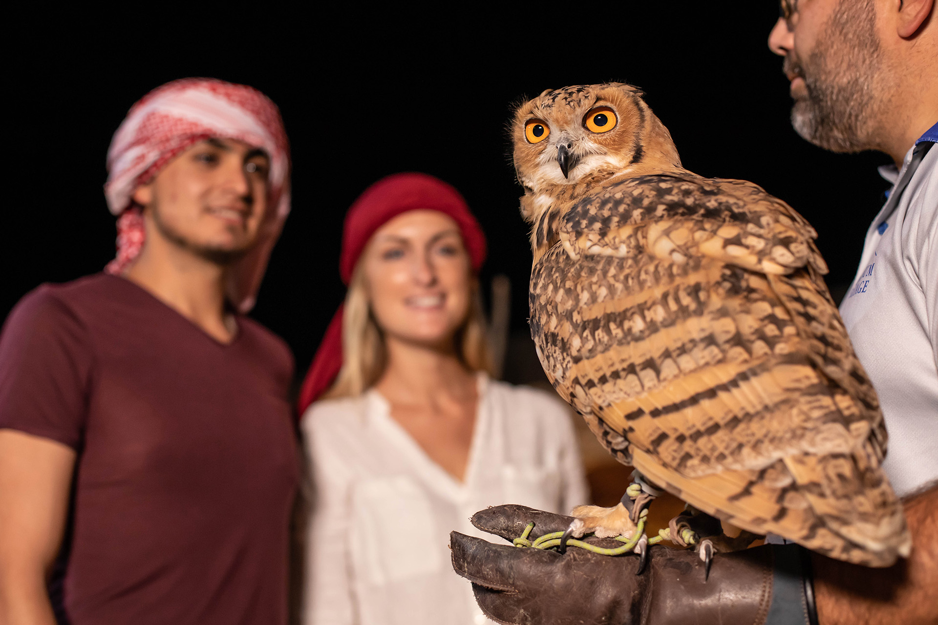 Owl encounter and photo opportunities