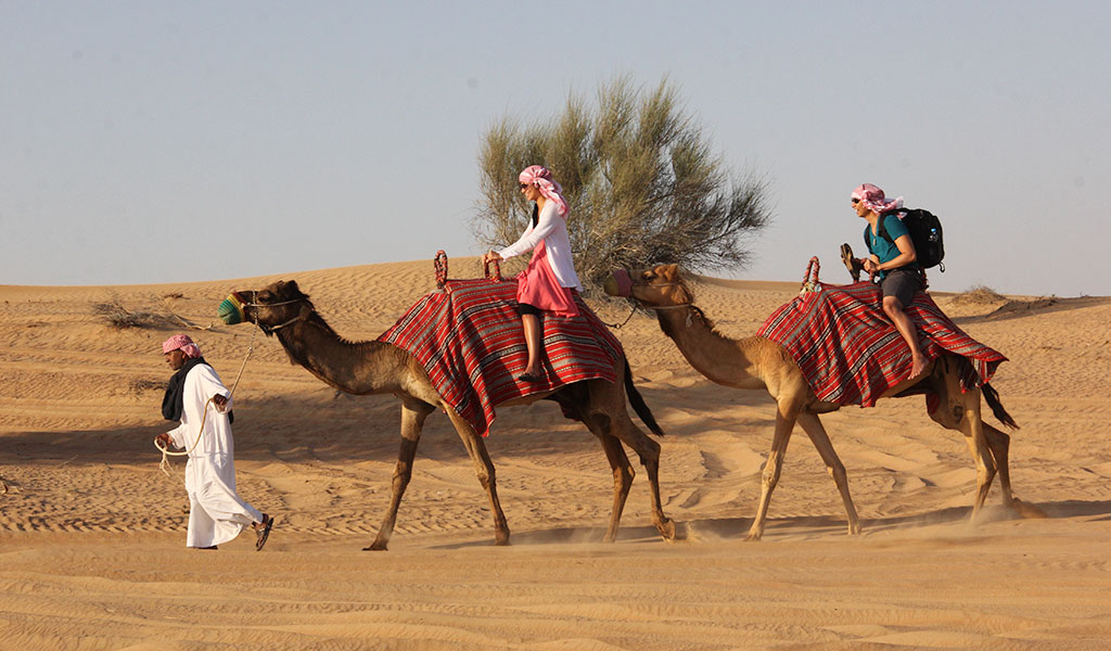 Dubai Desert Safari without Dune Bashing