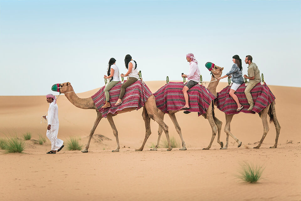 Image result for Camel ride desert safari