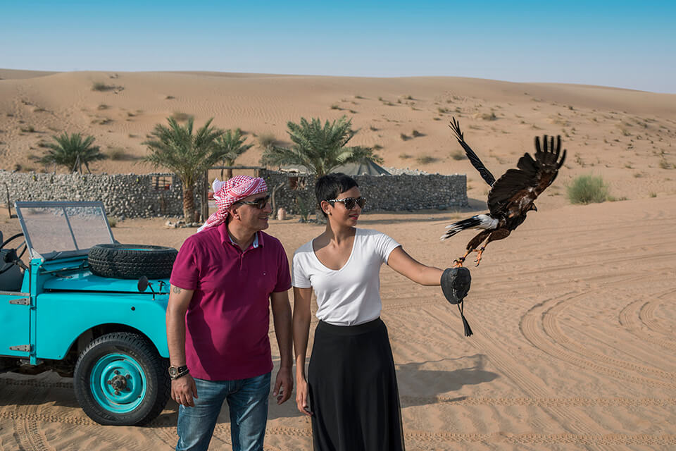 Dubai Falcon Shows – Everything you need to know